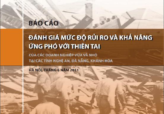 Báo cáo đánh giá mức độ rủi ro khả năng ứng phó với thiên tai của các DNVVN bao cao danh gia muc do rui ro va kha nang ung pho voi thien tai