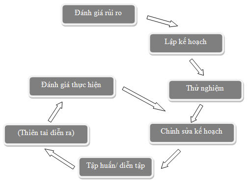 Sơ đồ các giai đoạn lập kế hoạch